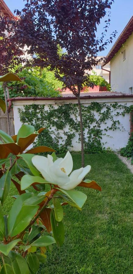 Casa Mir Ξενοδοχείο Năvodari Εξωτερικό φωτογραφία